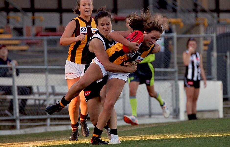 VFLW-Pies-vHawthorn.png